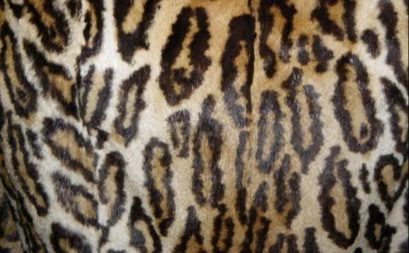 Натуральная демисезонная шубка мех леопардовый кролик в фото 4