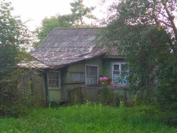 Продаю 5,46 га земли для ЛПХ (ЗПН) с домом в Смоленске фото 7
