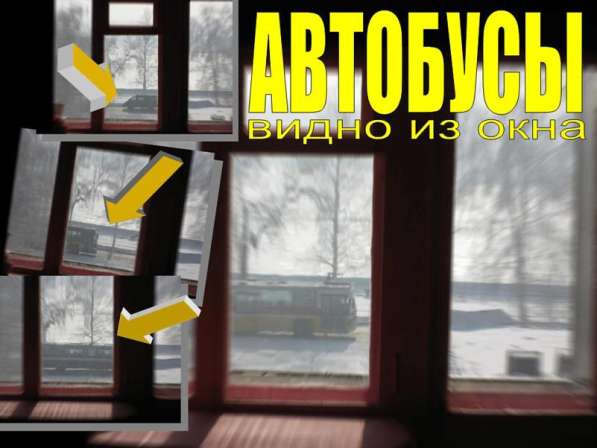 Хозяин! 1 ком. на Стрелке в фото 13