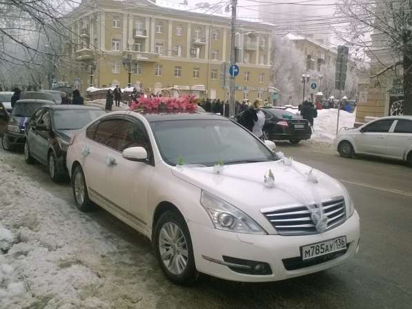 Аренда авто на свадьбы, торжества, трансфер в Воронеже фото 3