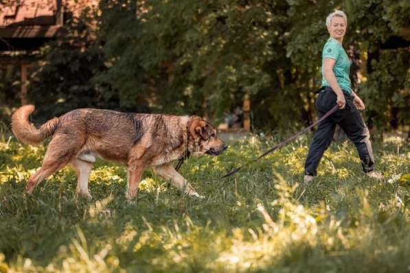 Макс ищет дом в Москве фото 4