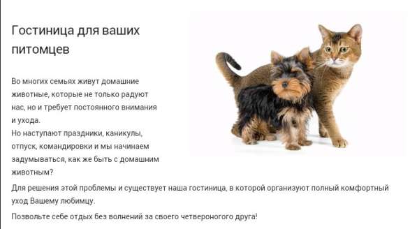 Гостиница для животных в Кургане