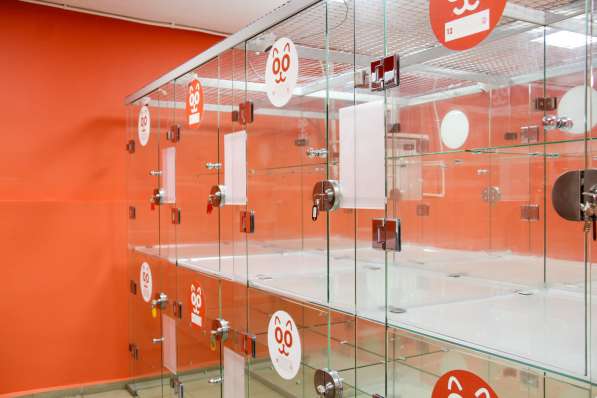 Передержка для кошек в Люберцы фото 25