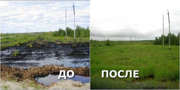 Инновации рекультивации нефтезагрязненных земель и водоемов в Краснодаре фото 4