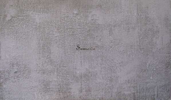 Декоративные покрытия в Рязани фото 20