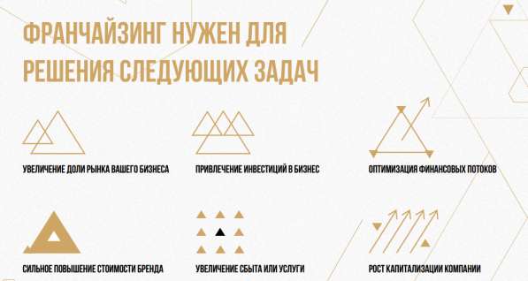 SOLA INVEST. Упаковка франшизы в Тюмени фото 7