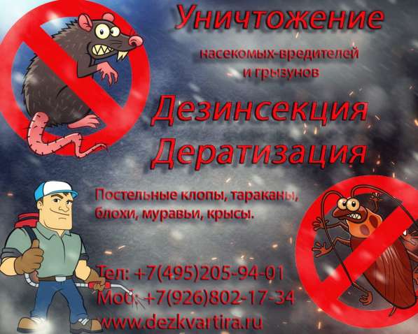 Дезинфекция