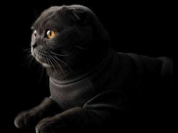 Семейное фото ии в Москве