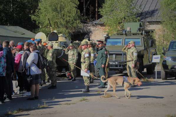Отдам пса в хорошие руки в Москве