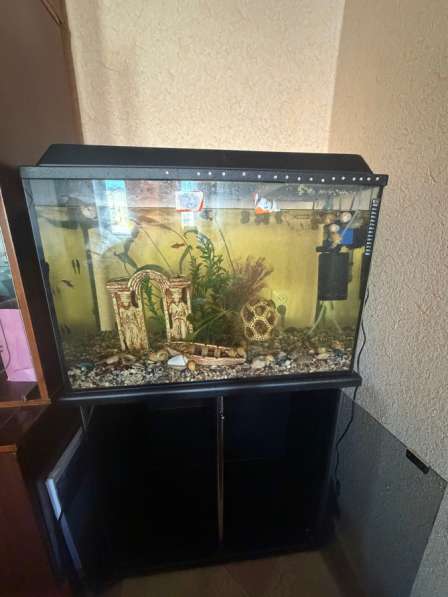 Аквариум с тумбой 120литров