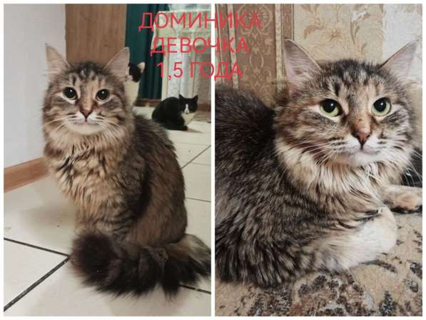 ПОЖАЛУЙСТА, НЕ ПРОХОДИТЕ МИМО!!! в фото 5