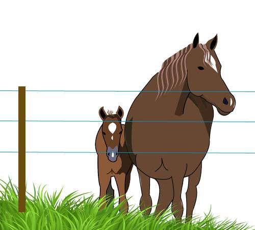 Электропастух для лошадей в Чебоксарах