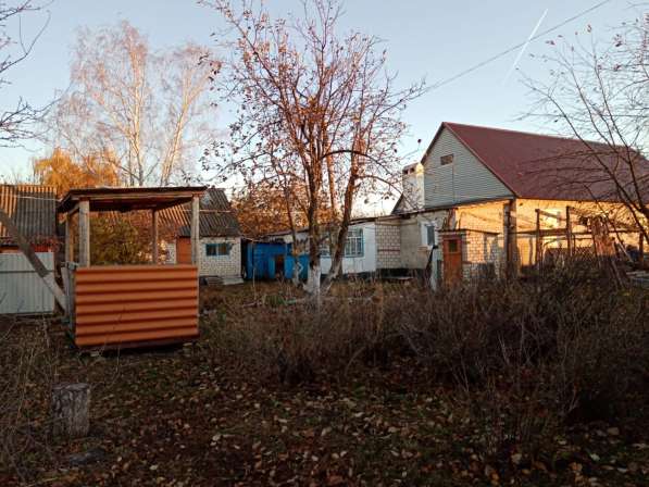 Продам дом в райском уголке Липецкой области в Елеце фото 9