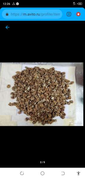 Грецкие орехи кг 550 с торгом в Ростове-на-Дону фото 5