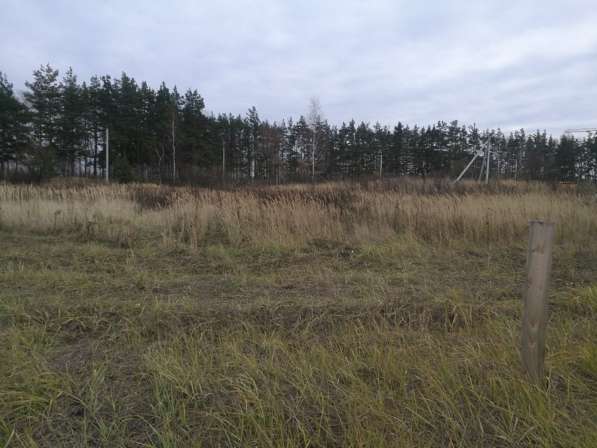 15 соток в Полянах под дом в Рязани фото 27