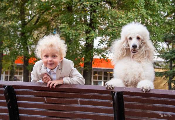 Новогодняя и Рождественская фотосессия с реквизитом в Москве фото 10