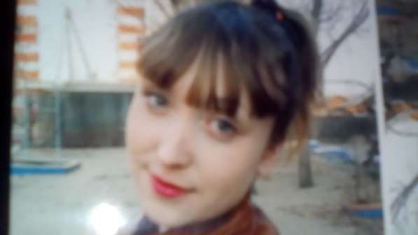 Ищу щенка алабая