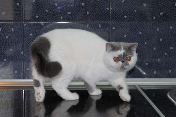 ТОПАЗ в Москве фото 13