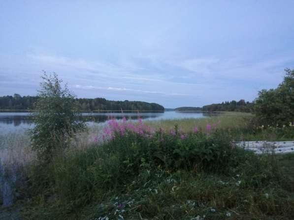 Отдых на берегу Онежского озера Карелия