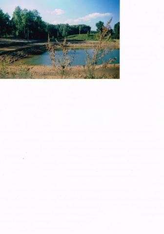 Продам земельный участок в г.Солнечногорск. Индивидуальное жилищное ст-во. Площадь 15 сот. в Солнечногорске фото 4