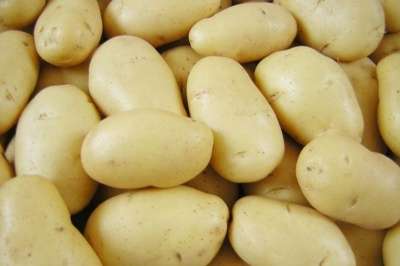 Картофель оптом.2015 г (доставка по РФ)
