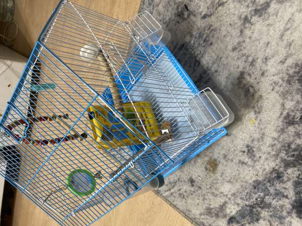 Клетка для птиц