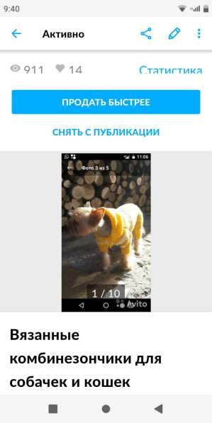 Всяжу на заказ одёжку для ваших собак и кошек в Астрахани
