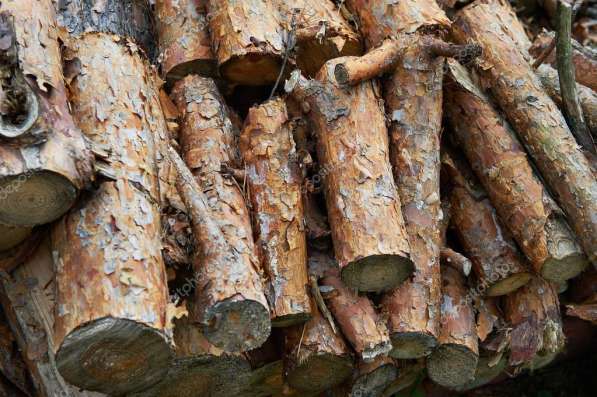 Продам дрова сухие в Севастополе