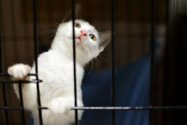 Нежная Мэрри ищет любящего друга