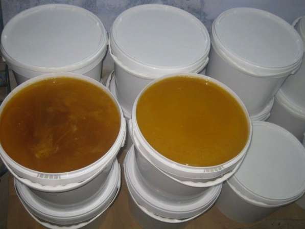 Продам натуральный алтайский мед оптом