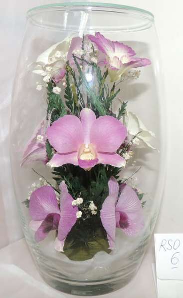 Орхидеи фиолетовые светлые в Москве фото 14
