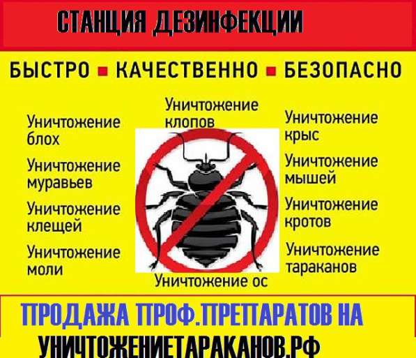 Уничтожение клопов, тараканов, мышей, крыс. Продажа средств в Санкт-Петербурге фото 3