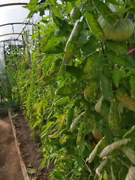 Продам, в Калинино дом и участок в Абакане фото 17