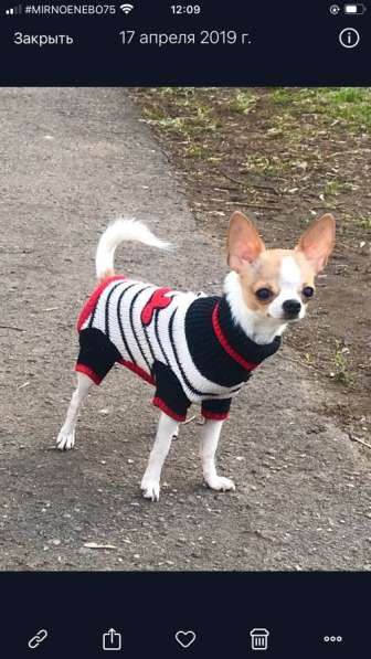 ВЯЗКА ВЕС 1,450 в Москве фото 6