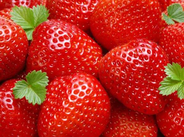 Продам дачу на Свинокомплексе в Перми фото 13