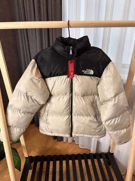 The north face