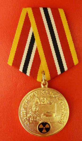 Россия медаль Защитнику Запорожской АЭС бланк документ СВО в Орле фото 8