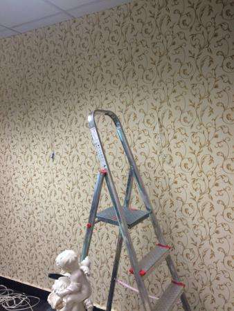 Поклейка обоев.Покраска. в Москве фото 5