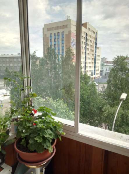 Растения для дома и офиса в Новосибирске фото 8
