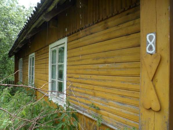 Дом в тихом и живописном месте, д.Борутишки,102 км от Минска в фото 9