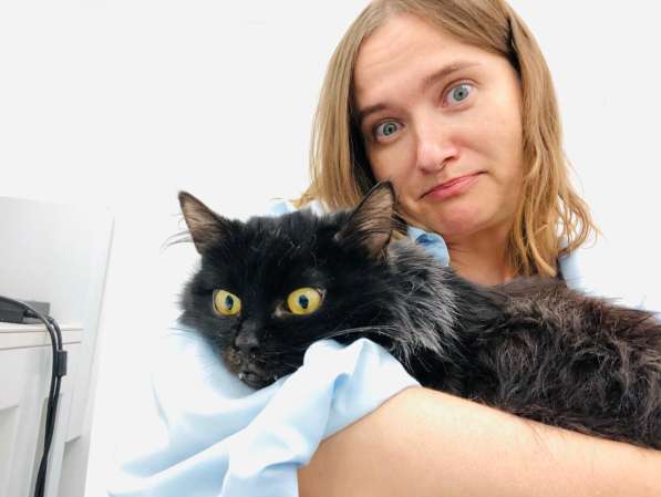 Красавец Пастернак ищет дом в Москве фото 12