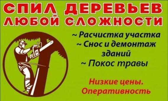 Спил деревьев в Белгороде