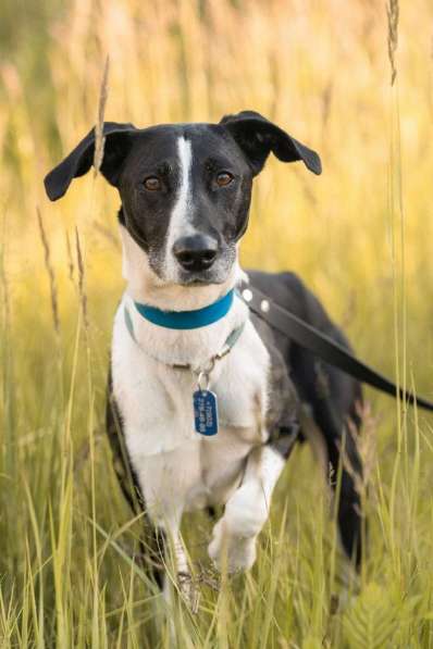 Тихон нуждается в новой истории! в Москве фото 3