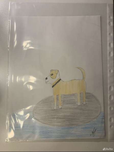 Рисунки ваших питомцев на заказ в Апатиты фото 9