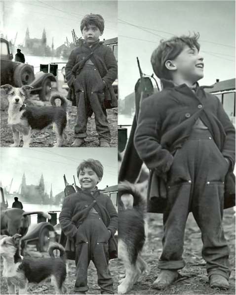 Оживление фотографий в Санкт-Петербурге