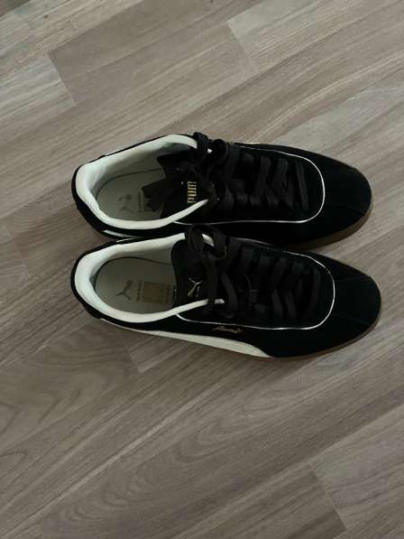 Puma 39,5 в Омске