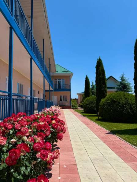 Отдых на Иссык-Куле в фото 12