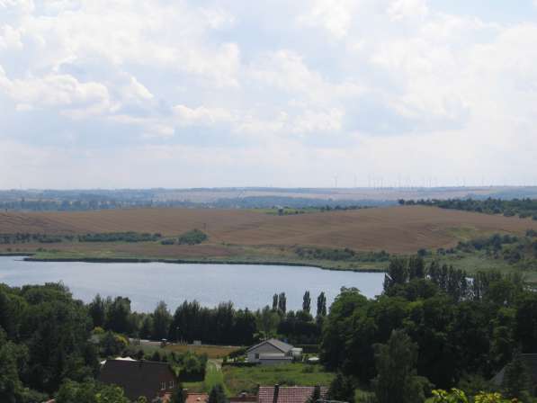 Дача в Германии с живописным видом в Москве фото 10