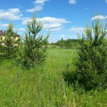 Участок, в Ногинске