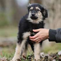 Малышка Юста ищет своих добрых людей, в Калуге